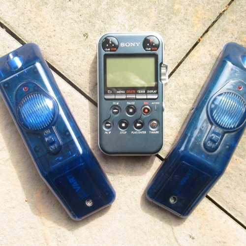 20220619 Bats in stereo