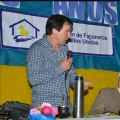 Daniel Pereira - Pollos