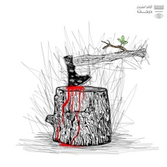 درَخت _ سَردر/ آوند