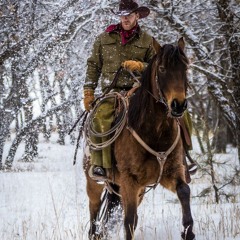 Farmhouse winter boyz (CT AIRBNb WLr 2020 DEc crazee)