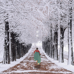 Snow Flower