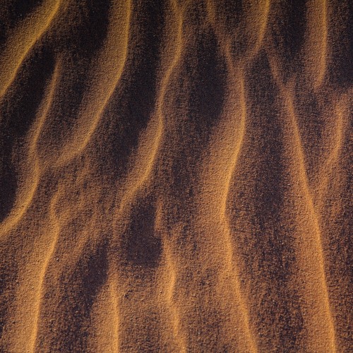 DUNE (BEAT FOR SALE)