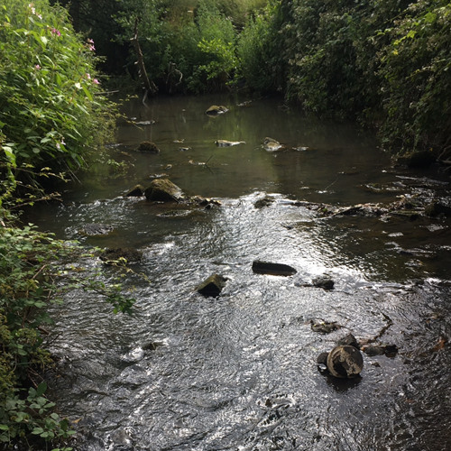 Trickling stream