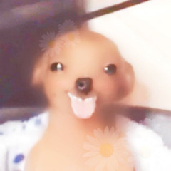 GIMP003 - I love the sunshine