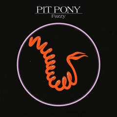 Pit Pony -  Fuzzy