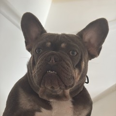 Chelsea Leanne Playlist💜