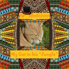 My Cat In His Jungle
