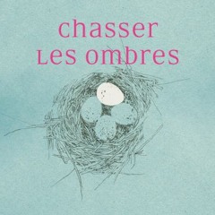 Chasser les ombres p.37