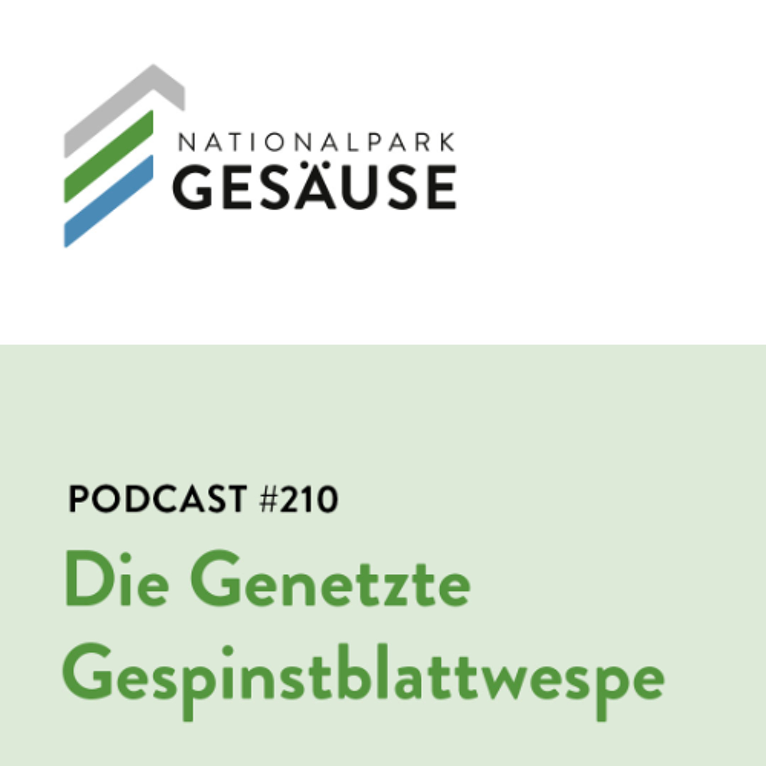 Nationalpark Gesäuse Podcast