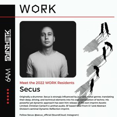 WORK Residency Program: Resident Secus Mix