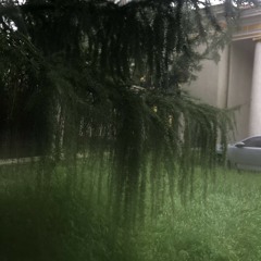 Чанга хөгжим- Цайран харагдах утаа- Түүний гар- Бүжиг- Инээмсэглэл