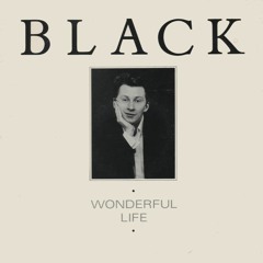 Black - Wonderful Life (Luin's Shore Bound Mix)