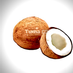 Cocuhnut