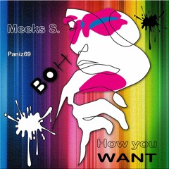 Meeks S. - How you want (Paniz69 remix)