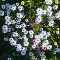 A3 competition submission: 2025