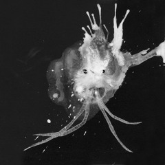 65º30'17.9"N 18º37'01.3"W