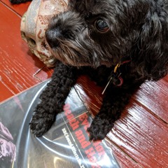 Sensoria @ The Lot Radio 10 - 15 - 2020