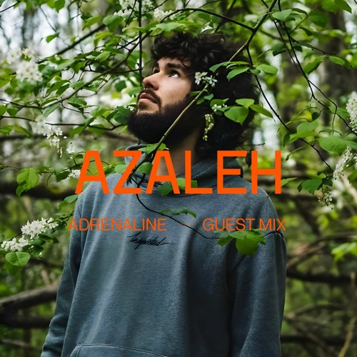 Adrenaline | Azaleh