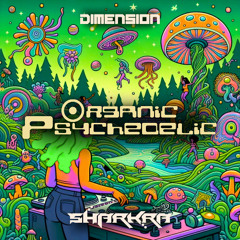 LIVE @ Dimension Festival 2k25 | Organic Psychedelic
