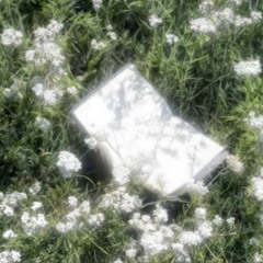 summer 24 | lifess kidu rewind zenith coldspades grimgar jayysoul dami4k 77mending yashio neohn +