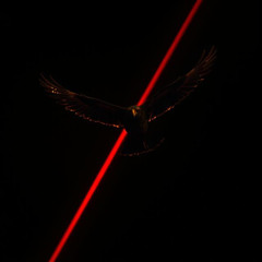 CURSIO - UNDER YOUR SPELL x HOW2FLY x WHERE ARE U NOW (ISOXO SKRILLEX JUSTIN BIEBER SNOW STRIPPERS SHEZTER DYZZY PSISMOKAS BRYCEG)