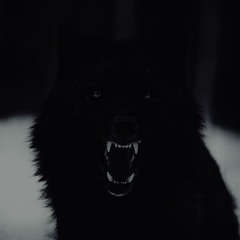 fAnGz
