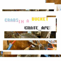 CRATE_APE - Crabs in a Bucket Mix