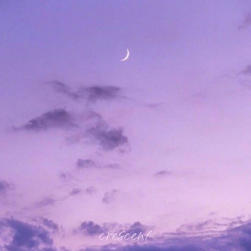 Fields Of Lavender