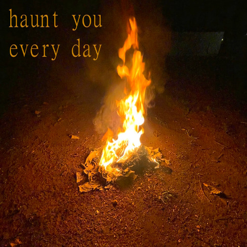 Haunt You Every Day