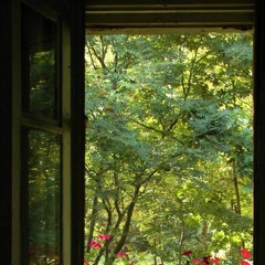 after the rain