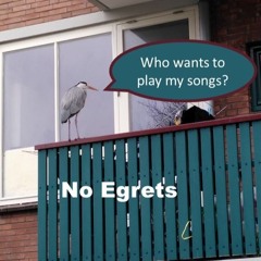 The Man With The Pigeons (Songwriter Demo 2)