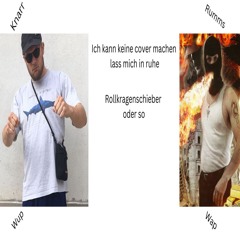 Rollkragenschieber oder so (Tekk-Mashup)