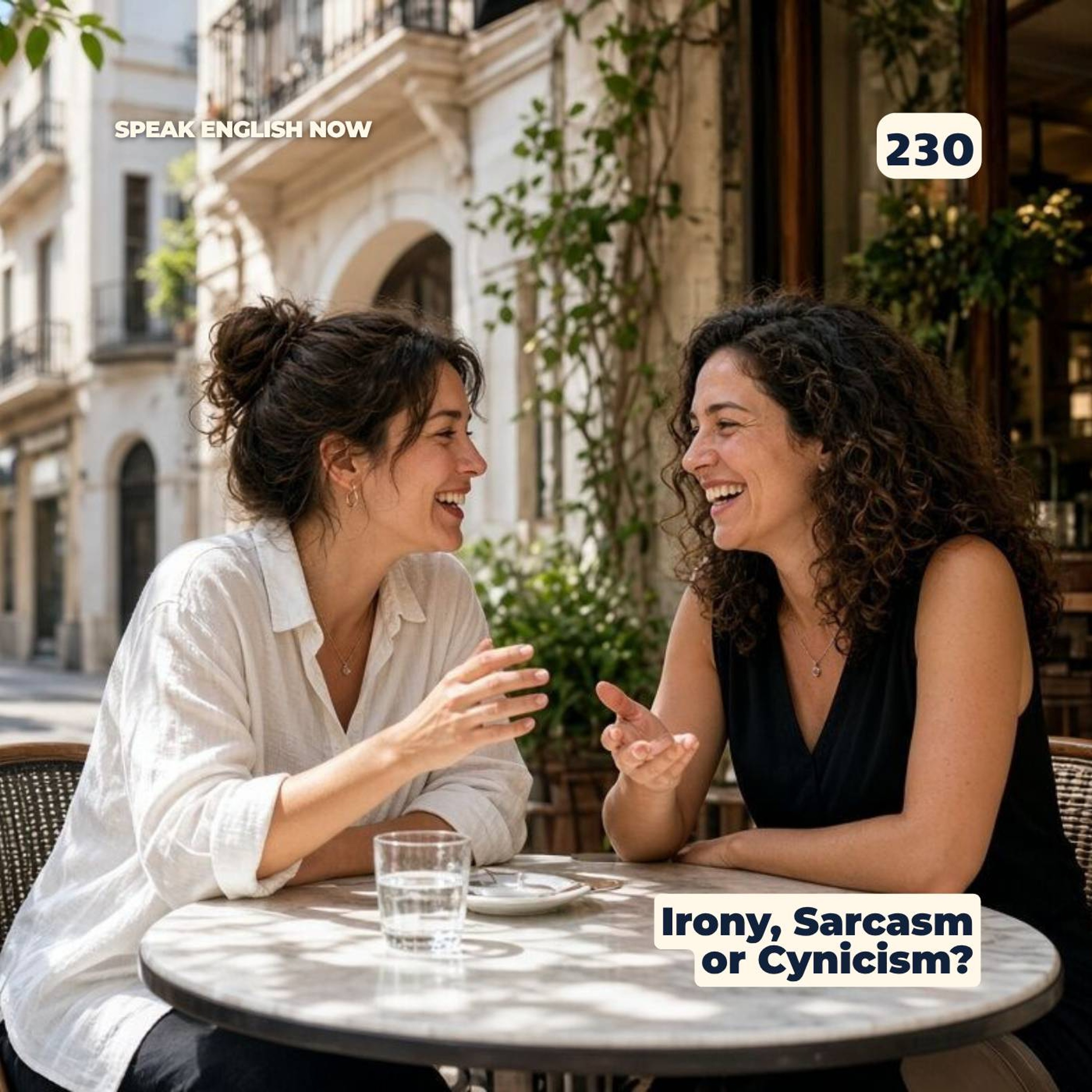 #230  Irony, sarcasm, and cynicism. Differences. episode artwork
