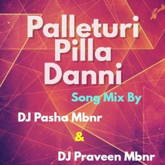 [Palleturi Pilla Danni Song Mix By Dj Pasha Mbnr & Dj Praveen Mbnr]