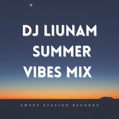 Dj Liunam - Summer Vibes Mix
