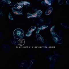 Nightshift 4 • Electrostimulation •                                   [Electronic + Melodic House]