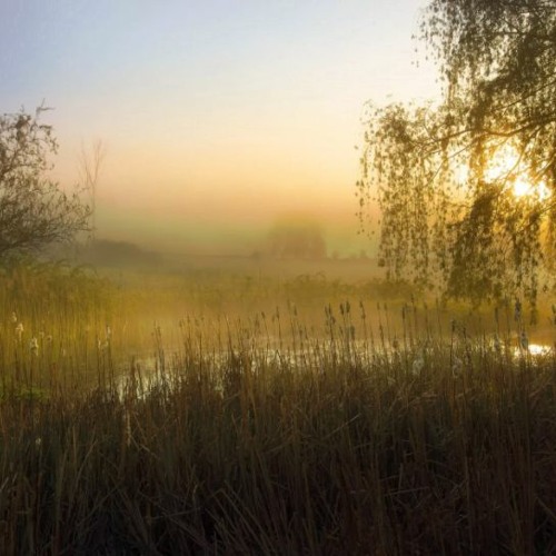 Stream Sigilcore happy background music /Free Download/ by Unitbro