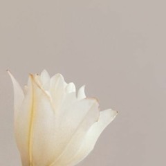 el sueno de la munequita