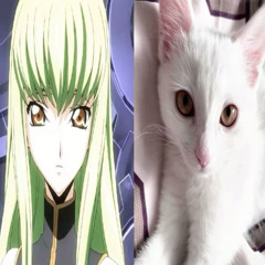 scream&shout (prod. rollie)