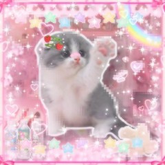Related tracks: KITTY PHONK PHONK (kitty phonk) （っ＾▿＾) -*