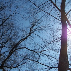 20. Sonntag nach Pfingsten: Der Jubel des Hl. Geistes