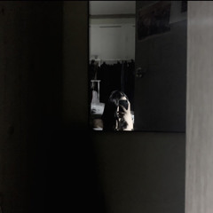 Food Truck (Feat. JUNNY, yelloasis, 논산이장님)