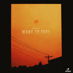 Want To Feel (Original Mix)