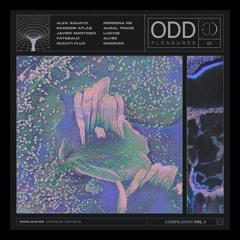 PREMIERE – Ducati Flux – Circa (ODD Pleasures)