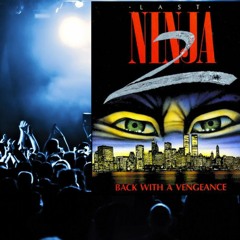 Last Ninja 2 Central Park Loader (sim live mix)