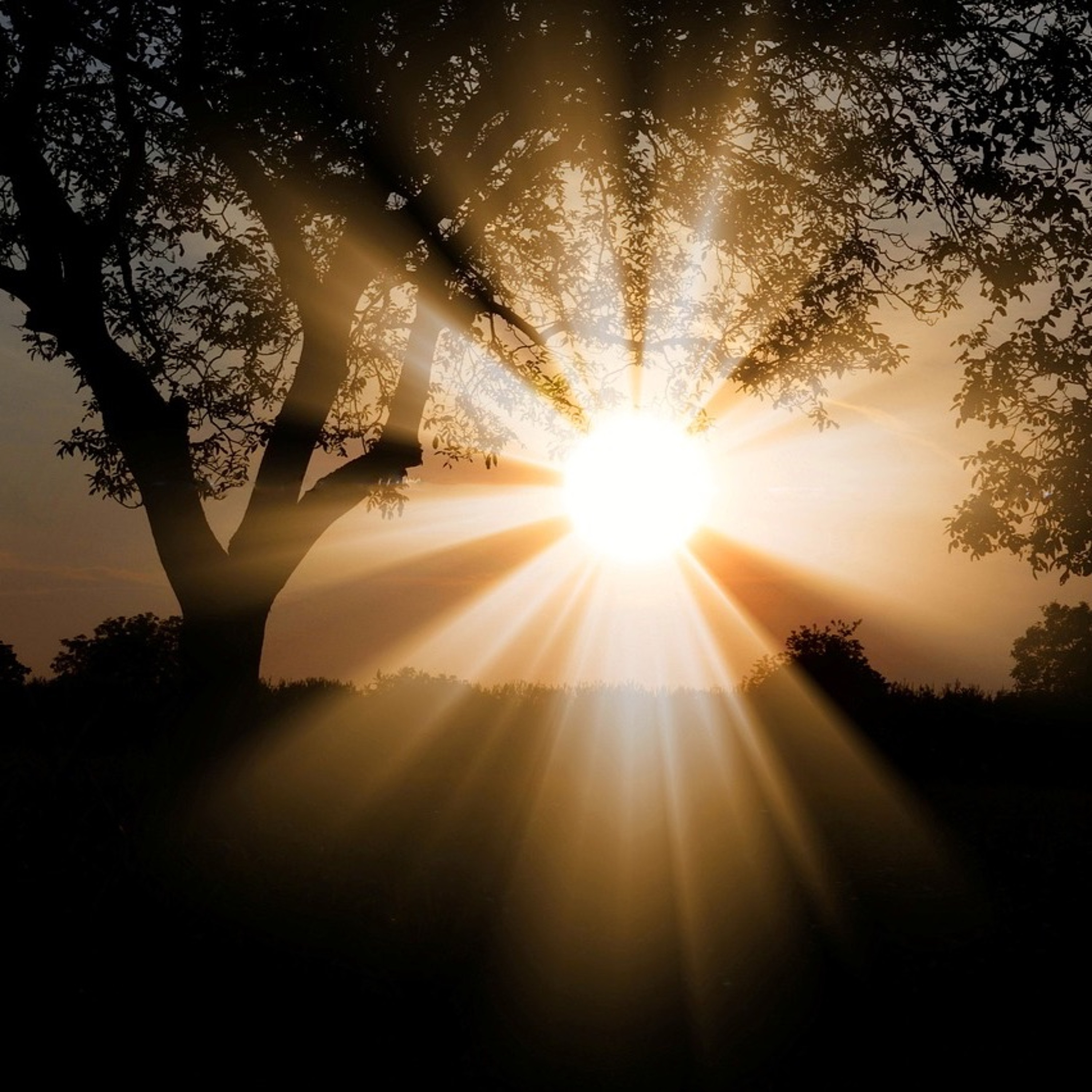 Quattro Stagioni 134 -  L'importanza del Sole