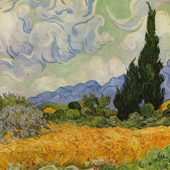 Una notte d’estate