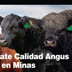 Fernando de la Peña - Remate Calidad Angus