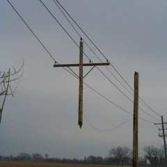 Your likes from Spotify