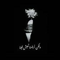 May Nasr - Yomma Mweil El-Hawa (Palestinian Arabic) Lyrics + Translation - مي نصر - يما مويل [wW9EPz